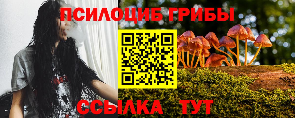 Георгиевск  Псилоцибиновые грибы Magic Shrooms  Вход с VPN 