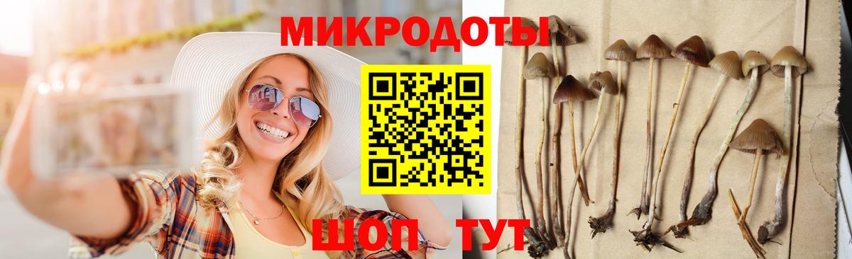 Псилоцибиновые грибы мухоморы Георгиевск