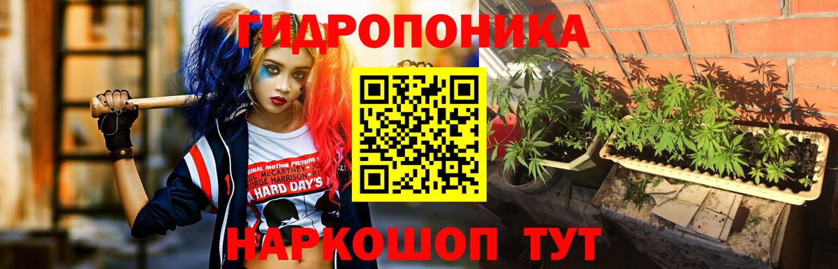 Бошки марихуана планчик Георгиевск